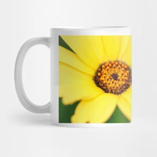 Yellow flower close-up against blurry green background Mug